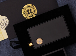 Обзор Dotmod DotAIO