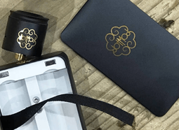 Обзор Dotmod Dotbox Dual Mech