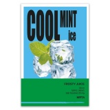 Жидкость Frosty Juice Salt Cool Mint Ice 30 мл
