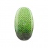 Зеленый Dragon Egg